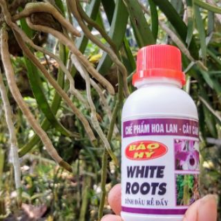 WHITE ROOT - SIÊU KÍCH RỄ BÁO HỶ 100ml