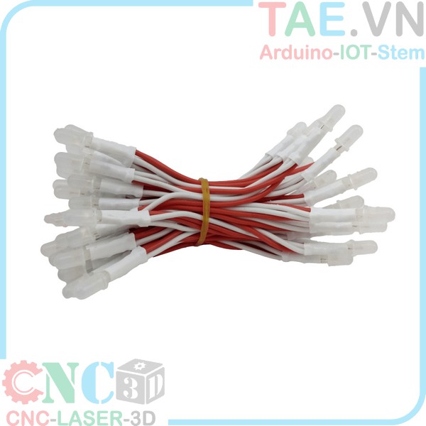 Led Ruồi Liền Dây 5mm 100 Con