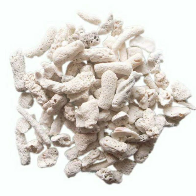 San hô vụn lọc nước cho bể cá cảnh, hồ cá, trang trí terrarium 500g, 1kg