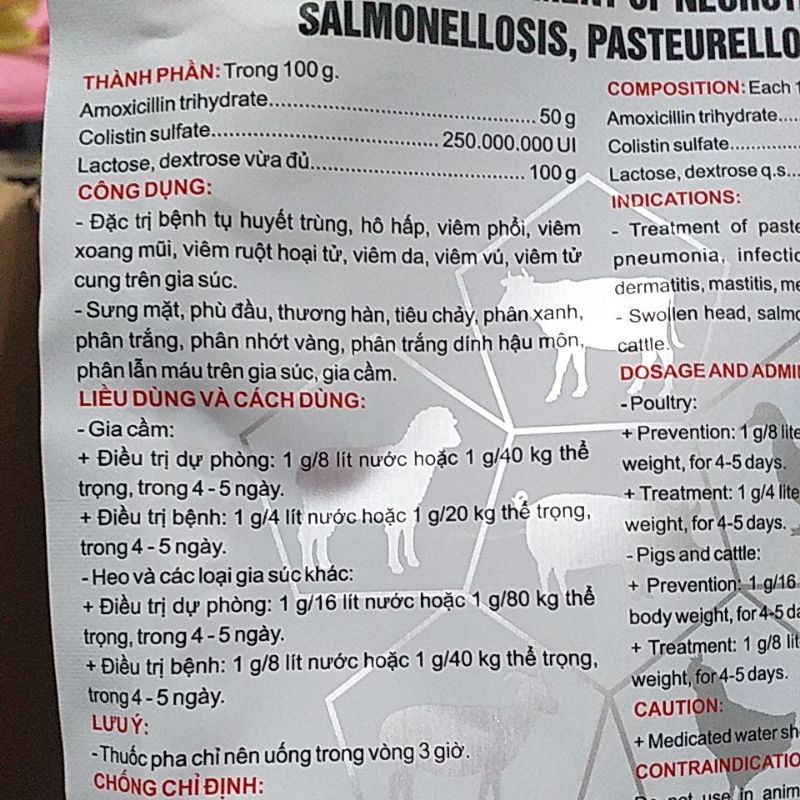 Amox colistin 50% amoxicos cho thú y lợn gà vịt chim thỏ dê đi ỉa v.iêm buồng tr.ứng phân xanh trắng, viêm ph.ổi, export