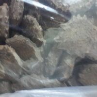 80k 1kg hạt gấc khô