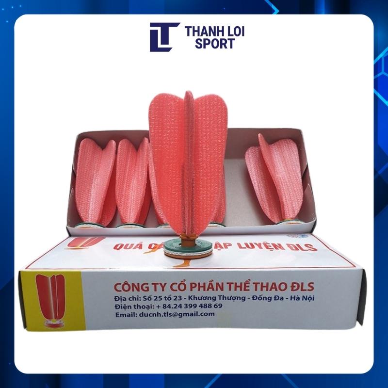 Quả cầu đá tập luyện ĐLS hộp 6 quả cánh xốp