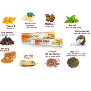 Kem đánh răng dược liệu Ngọc Châu 100g