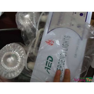 Đèn chiếu sáng sự cố (gồm kiểm định)