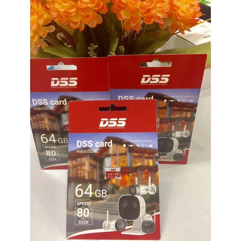Thẻ nhớ 64Gb DSS Chuyên Dụng Cho Camera- Bảo Hành Chính Hãng Lỗi 1 Đổi 1 Trong 12 Tháng | BigBuy360 - bigbuy360.vn