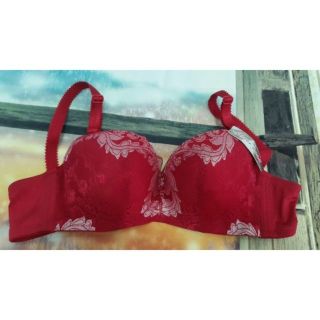 Áo ngực đệm mỏng 3 móc siêu ôm nâng
