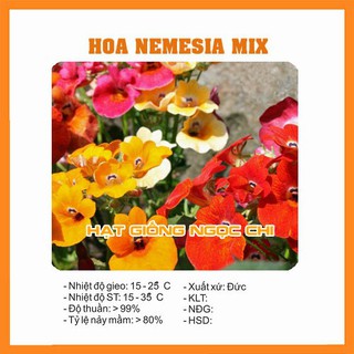 Hạt giống hoa cúc nemesia mix - 100 hạt