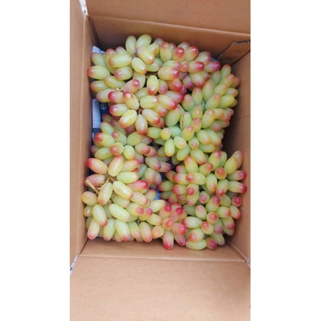 NHO HỒNG MÓNG TAY - ĐẶC SẢN NINH THUẬN - TÚI 1 KG