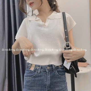 Áo croptop polo cộc tay nữ , cổ bẻ chất thun gân 3 màu