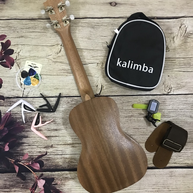 (ĐỘC) ĐÀN UKULELE CONCERT BẦU DỤC