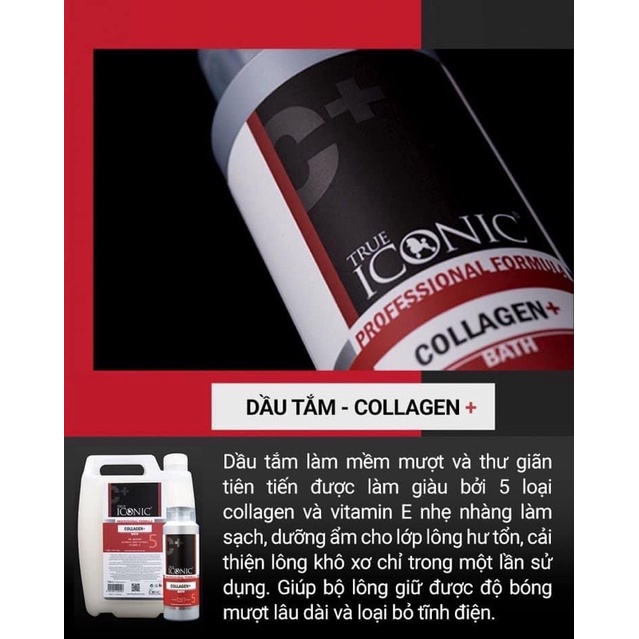 [  C .H .A .I C .H .I .Ế .T ) SỮA TẮM CAO CẤP TRUE ICONIC CHUYÊN DỤNG SPA THÚ CƯNG CHÓ MÈO