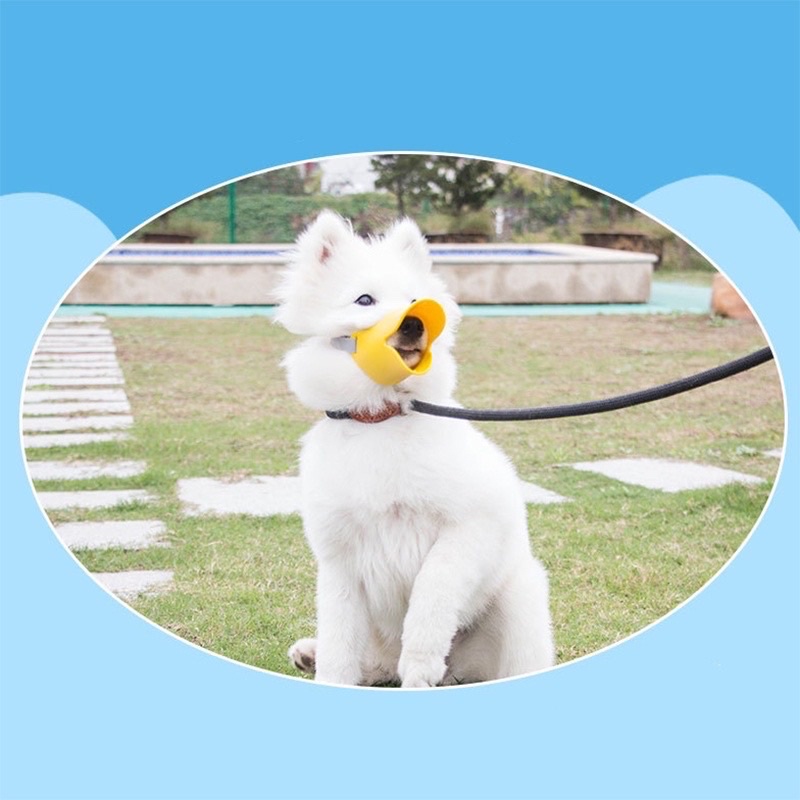 Rọ mõm cho chó mèo