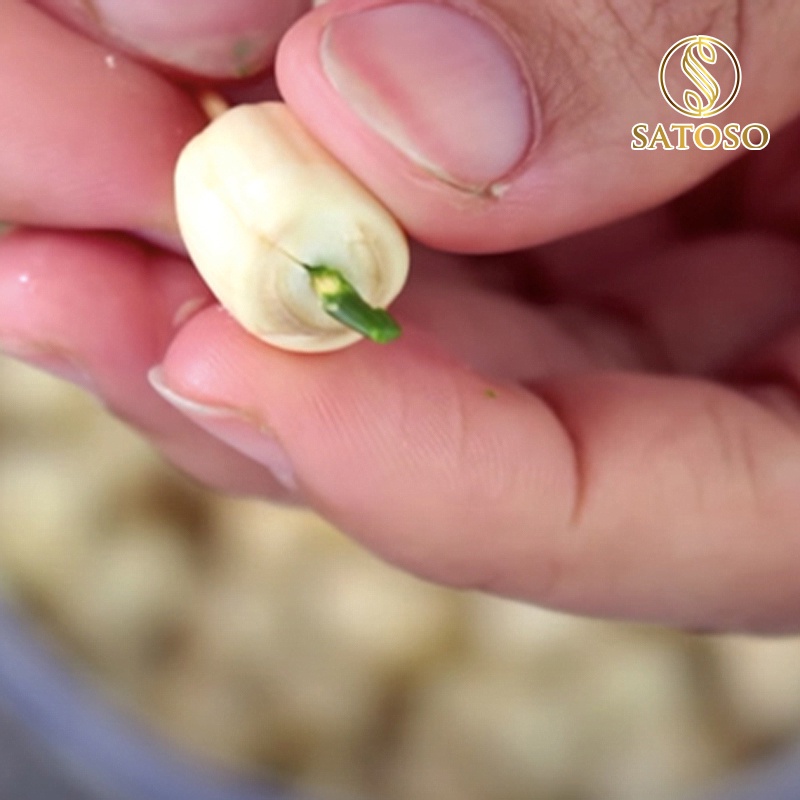 Tâm sen sấy khô thượng hạng SATOSO 1kg giúp an thần ngủ tốt SA58