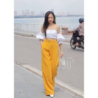 Áo cẩm tú cầu