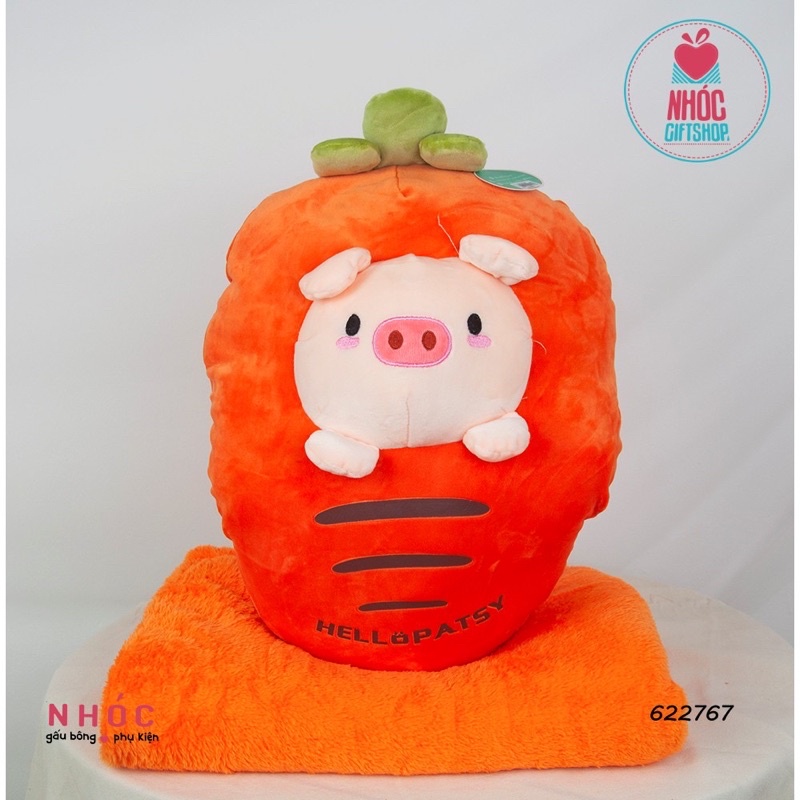 Chăn Gối Gấp Gọn văn Phòng Loại Đẹp