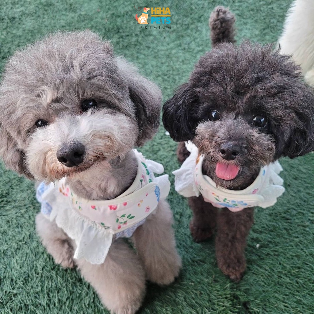 Dây Dắt Chó Mèo Đi Dạo Có Kèm Yếm Dây Dắt Thú Cưng Hàn Quốc Premium Hiha Pets.
