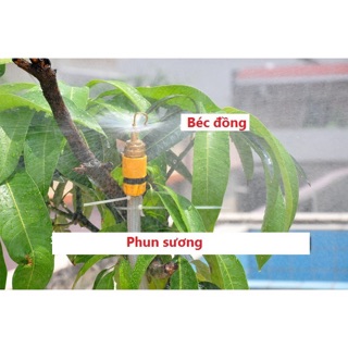 50 béc phun sương đồng móc
