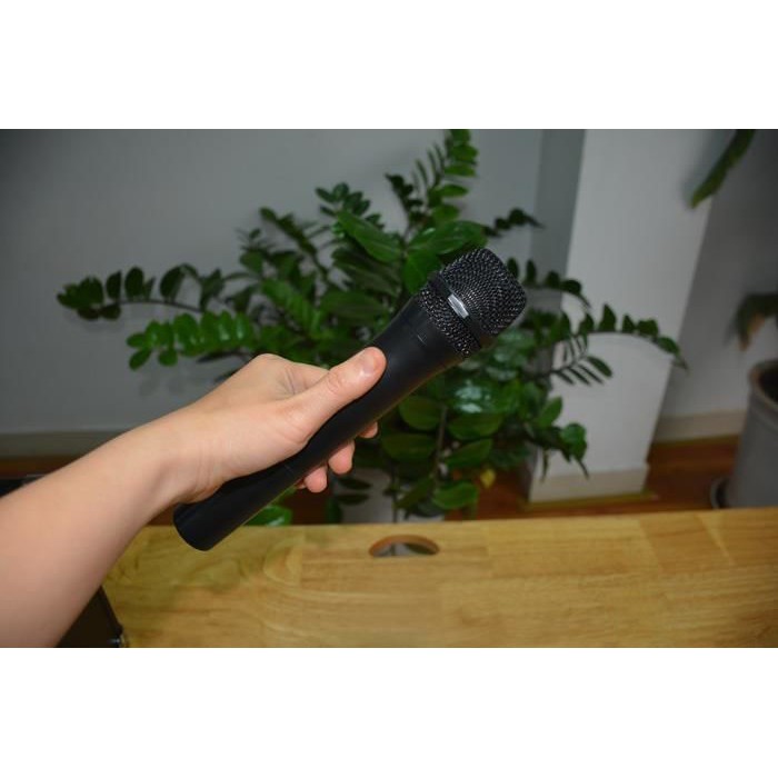 Loa Di Động SoundMax D1000