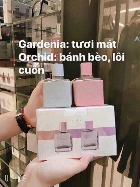 COMBO 18 HỘP WAN 500