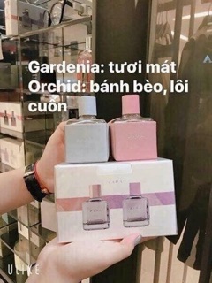 COMBO 18 HỘP WAN 500