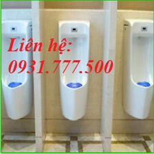 Khử mùi hôi làm thơm toilet Bioion Uniral Pad / Tấm lót khử mùi bồn đứng nam, lỗ cống