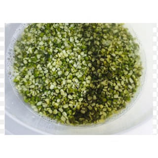 Đỗ xanh (còn vỏ) 1kg
