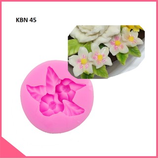 Khuôn Silicon Hoa Dừa Cạn