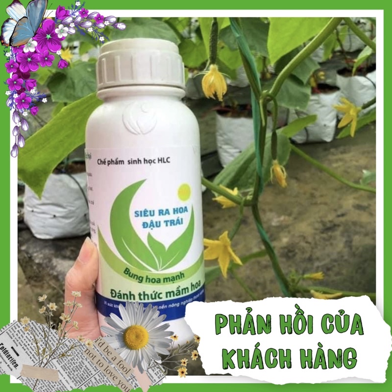 CHẾ PHẨM SINH HỌC SIÊU RA HOA HLC 500ml hàng chính hãng công ty