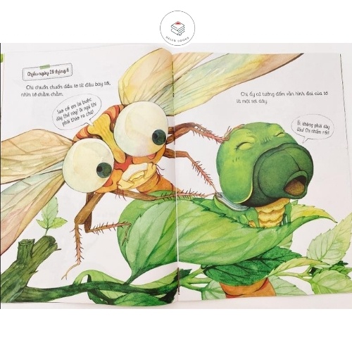 Sách - Combo 10 cuốn Nhật Ký Thế Giới Côn Trùng