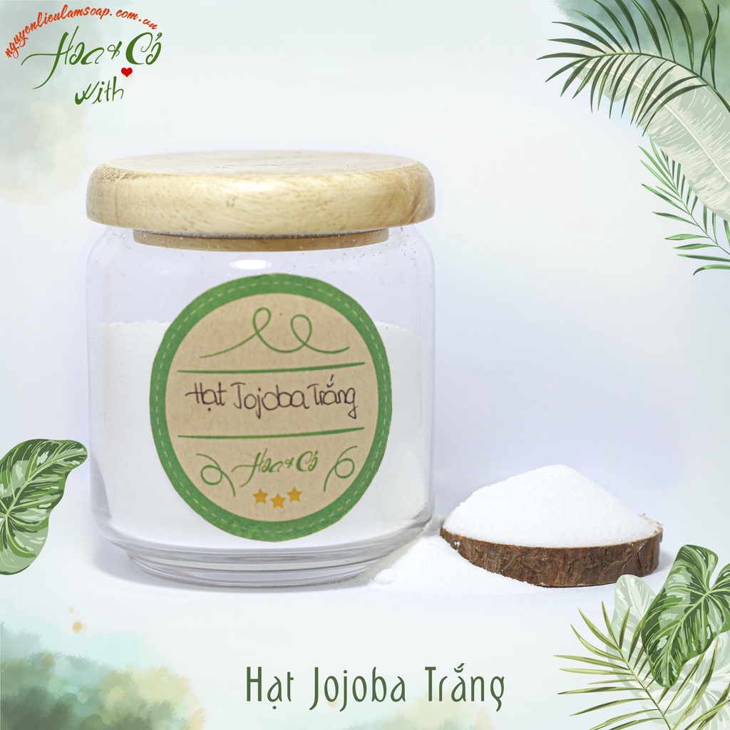 Hạt Jojoba Tẩy Da Chết