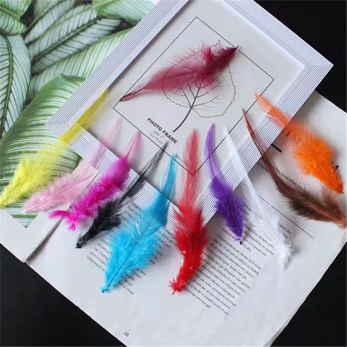 Quà Tặng Ngẫu Nhiên: Trang Sức / Lắc Chân / Lông Vũ / Quà Tặng Nhỏ Khác