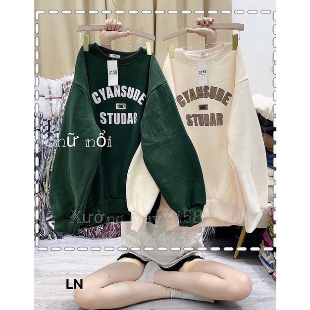 Áo nỉ bo cotton cyansude LN12