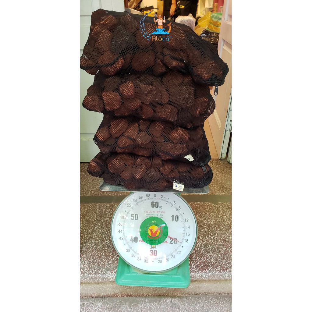 Bao 1kg đá nham thạch đỏ Trung Quốc cỡ to lọc nước cho bể cá cảnh