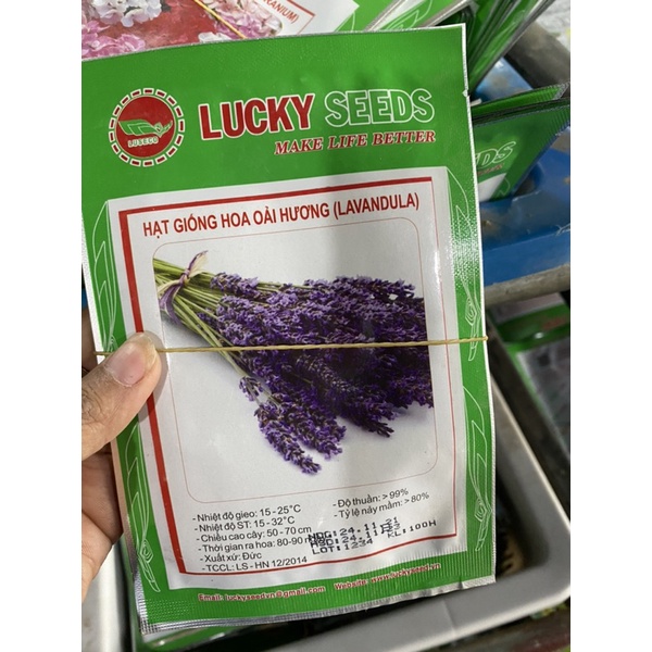 HẠT GIỐNG hoa oải Hương 4 mùa/Lavender, gói 100 hát hoa oải hương giống khỏe lẩy mầm cao