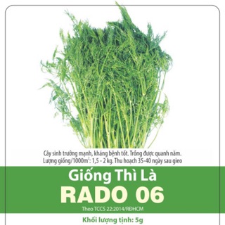 Hạt giống Rau Thì Là 06 (5gr)