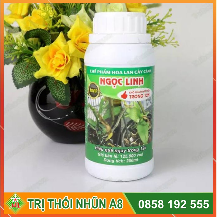 Trị thối nhũn 12h cho Phong Lan chai 250ml | Chế phẩm Ngọc Linh A8