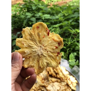 [500gr]THƠM(KHÓM,DỨA) SẤY