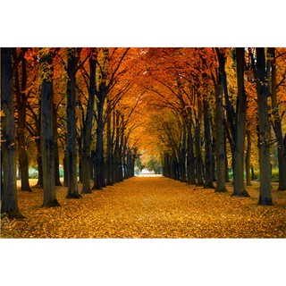 Tranh dán tường 3D phong cảnh 60*90