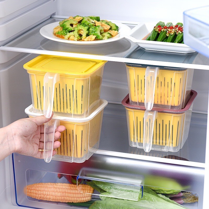 Hộp nhựa bảo quản thực phẩm tươi mát để tủ lạnh có tay cầm, 2 lớp thông minh