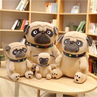CHÓ PUG 🦴🦴🦴