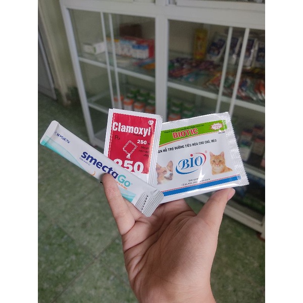 COMBO NÍN Ẻ - CHẤM DỨT TIÊU CHẢY CHO CHÓ MÈO