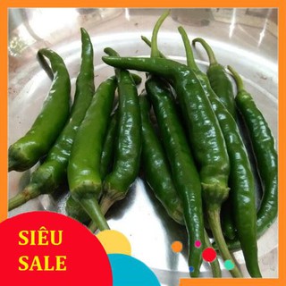 Hạt Giống Ớt Xanh Hàn Quốc (100 Hạt) - [MUA 3 TẶNG 1 CÙNG LOẠI] - Ngọt, Cay Nhẹ,Thơm Ngon, Năng Suất