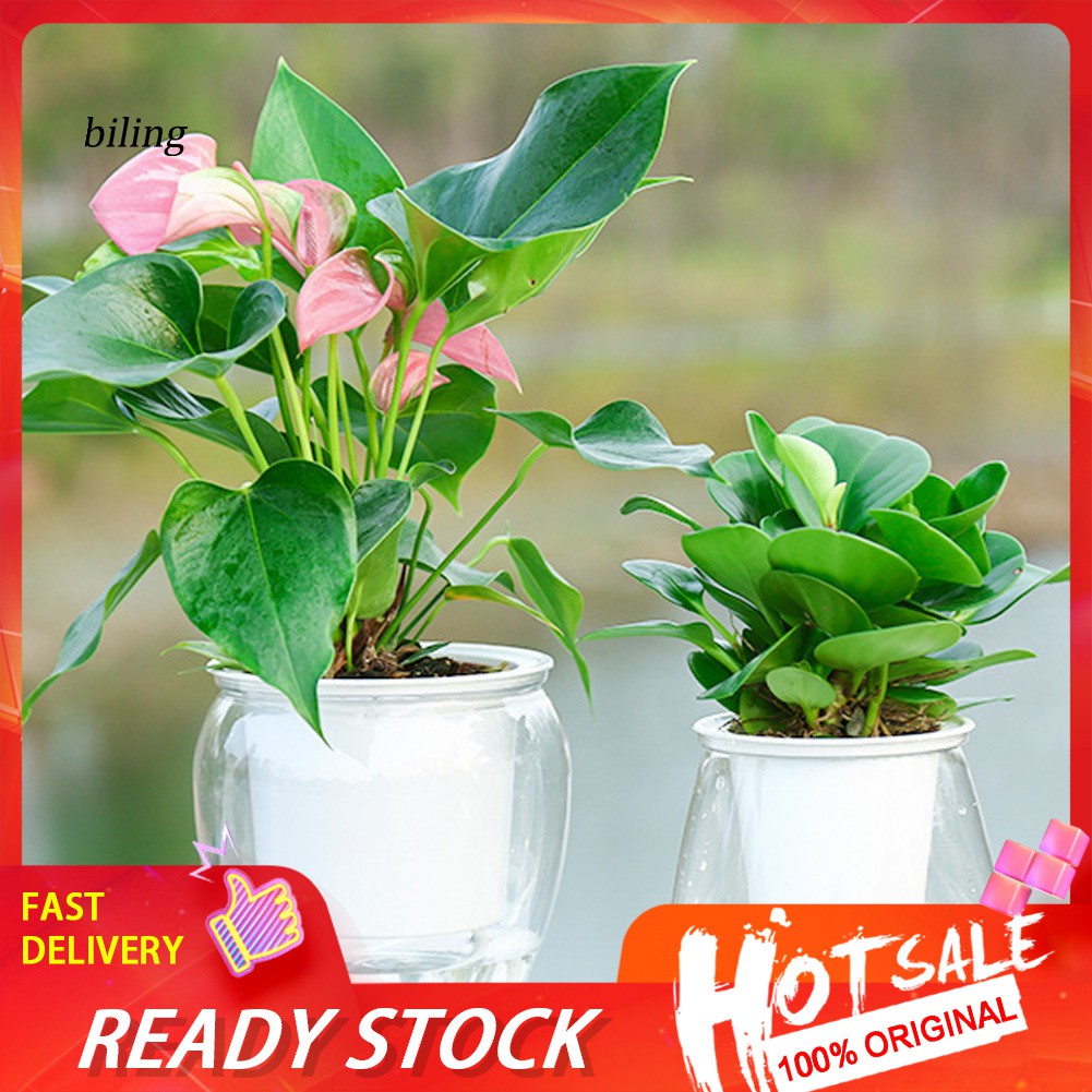 ✿Yyp Yyp✿Chậu Hoa Tự Tưới Nước Bằng Nhựa Tiện Lợi Dành Cho Vườn Nhà