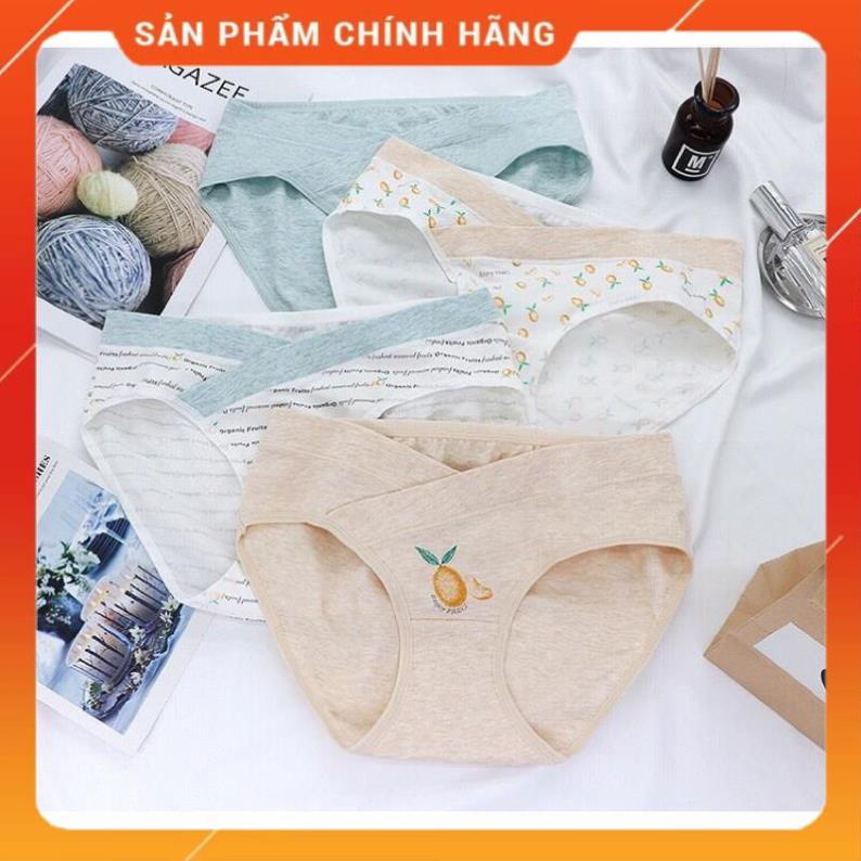 Sét 4 Quần Lót Bầu Cotton Cao Cấp Túi Zíp 20020