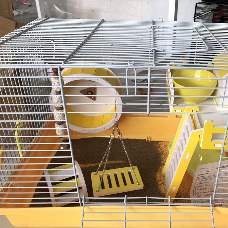 Đồ chơi hamster, CẦU VƯỢT XỐP ĐỦ MÀU cho hamster, sóc, bọ, nhím
