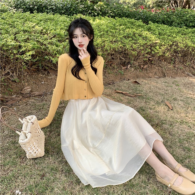 Chân váy NZN dáng chữ A lưng cao phối lưới phong cách Hàn Quốc thời trang dành cho nữ