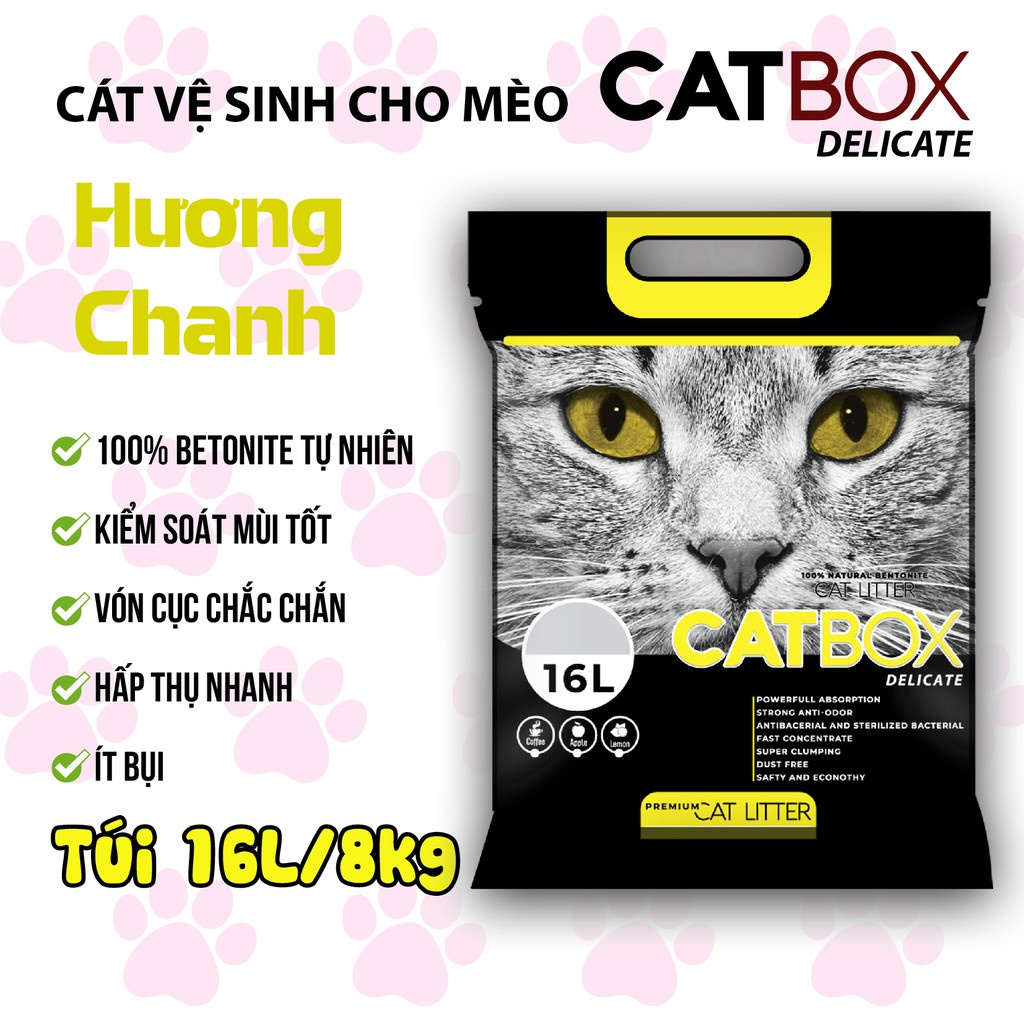Cát vệ sinh cho mèo bổ sung than hoạt tính CATBOX túi 16L