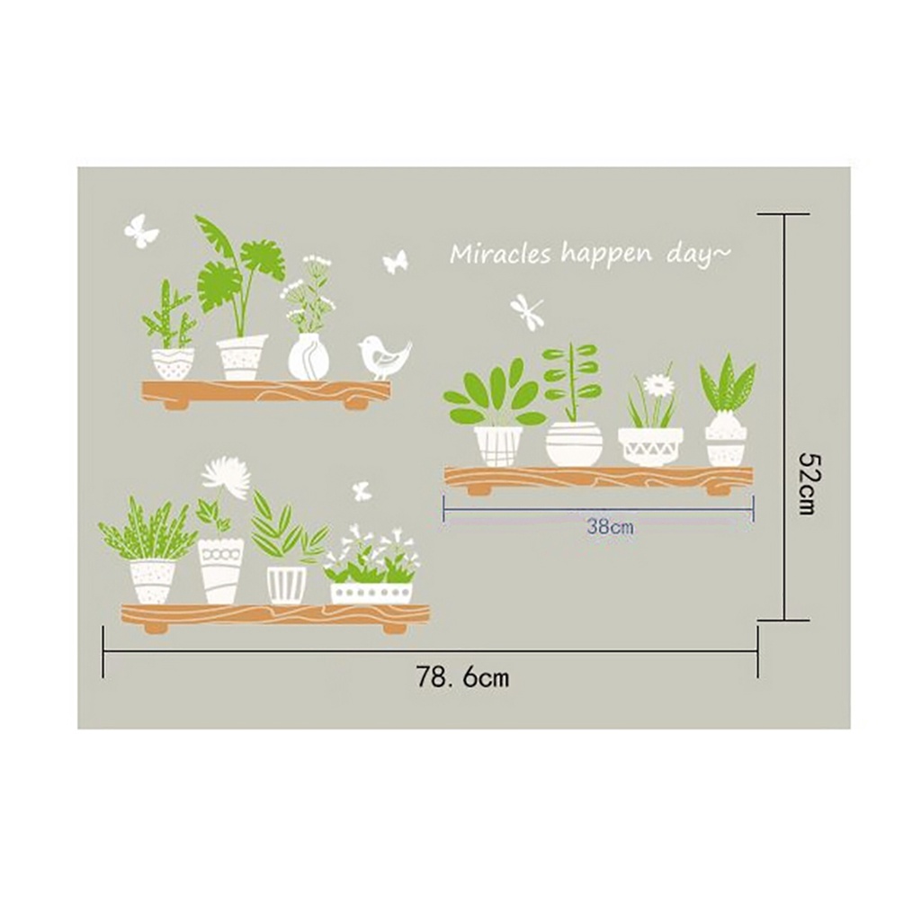 Nhãn dán tường PVC tự dính họa tiết cây cảnh độc đáo