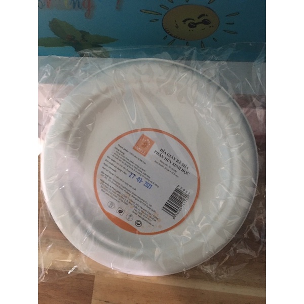 Set 10 dĩa giấy bã mía trơn 15.5cm