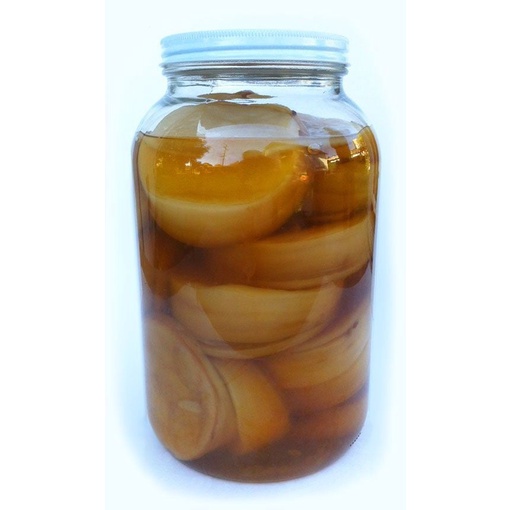 Combo 2 phần nấm Scoby làm trà Kombucha, trà bất tử, tốt cho sức khoẻ.